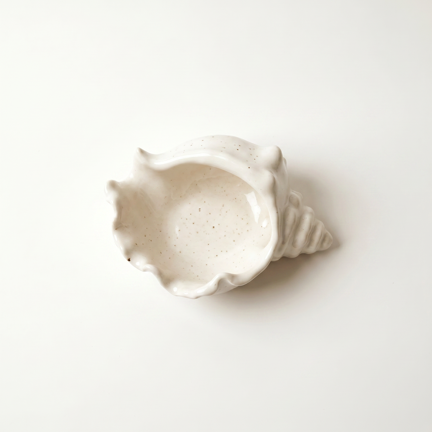 Conch Shell Bowl, Gypsum White 6"